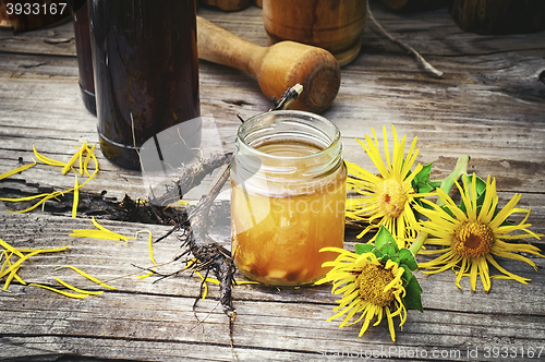 Image of Tincture of elecampane