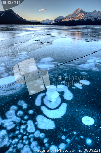 Image of Abraham Lake Winter