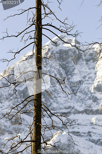 Image of Rocky Mountains in Winter Canada