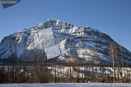 Image of Rocky Mountains in Winter Canada