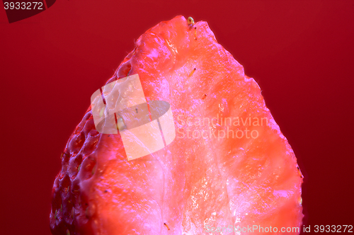 Image of Strawberry Macro Red