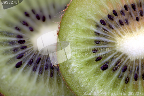 Image of Kiwi Fruit Macro