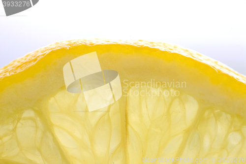 Image of Lemon Slice Close up