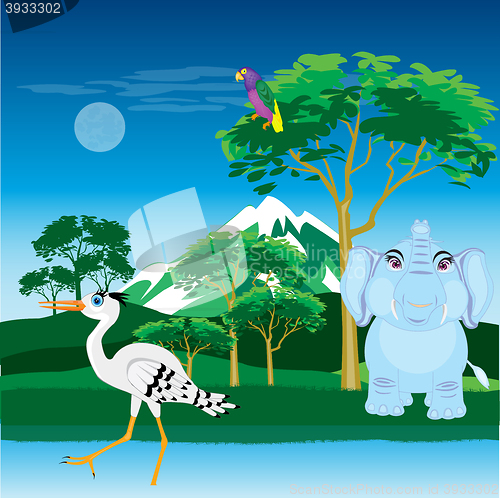 Image of 