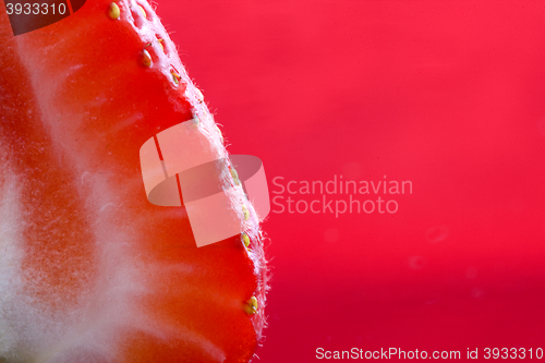 Image of Strawberry Macro Red