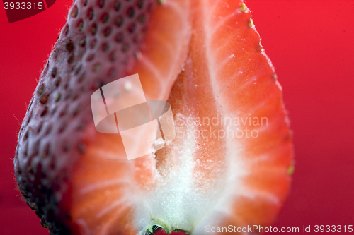 Image of Strawberry Macro Red