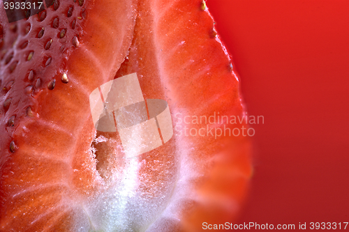 Image of Strawberry Macro Red