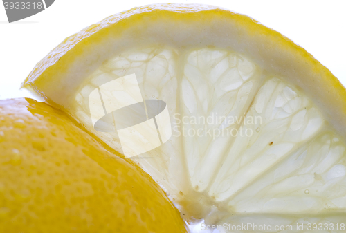 Image of Lemon Slice Close up