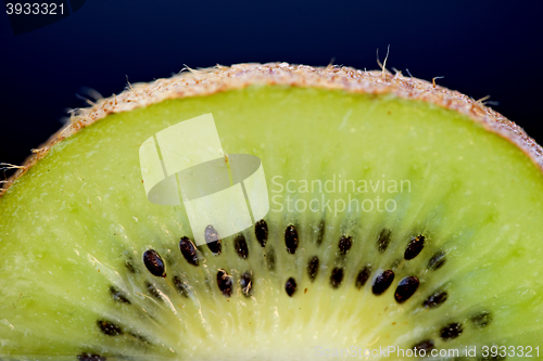 Image of Kiwi Fruit Macro