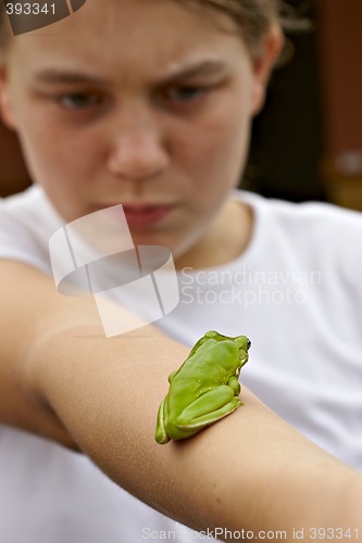 Image of green tree frog on girls arm