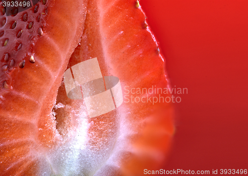 Image of Strawberry Macro Red