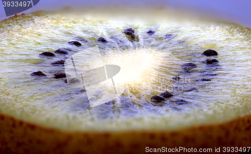 Image of Kiwi Fruit Macro