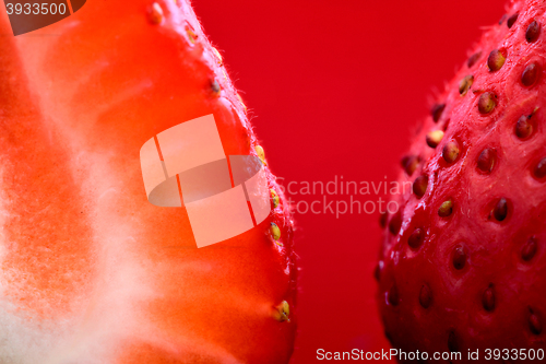 Image of Strawberry Macro Red