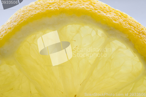 Image of Lemon Slice Close up