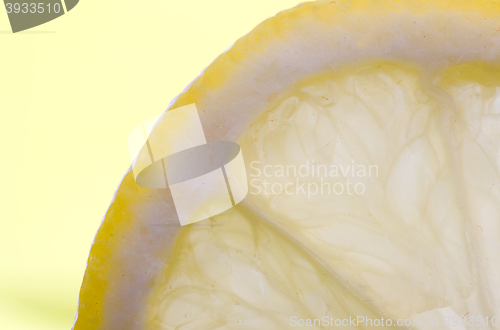 Image of Lemon Slice Close up