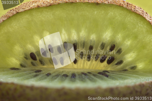 Image of Kiwi Fruit Macro
