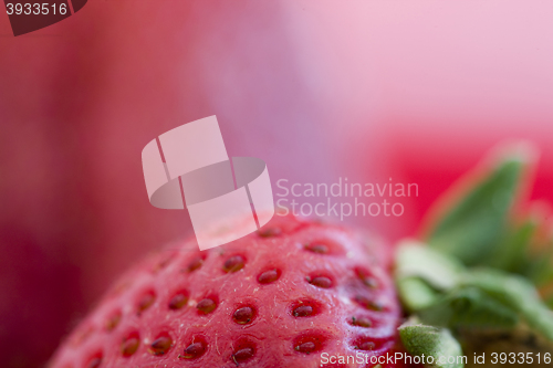 Image of Strawberry Macro Red