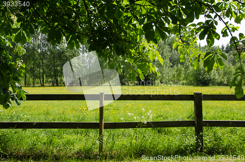 Image of Green field behind a fence