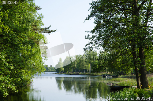 Image of Green summer view by a lake