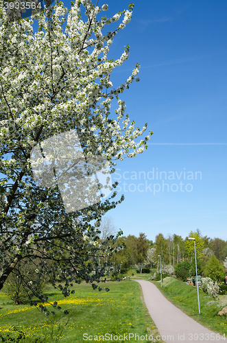 Image of Walkway by spring