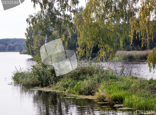 Image of Landscape with the image of the river and the surrounding nature