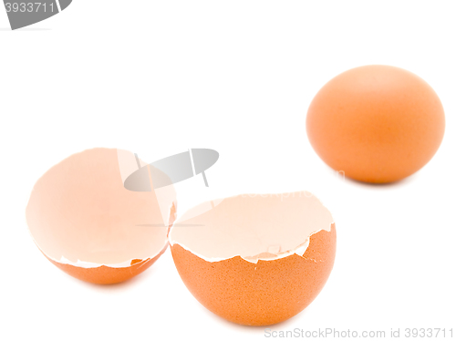 Image of Eggs over White