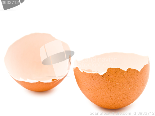 Image of Eggshell over White