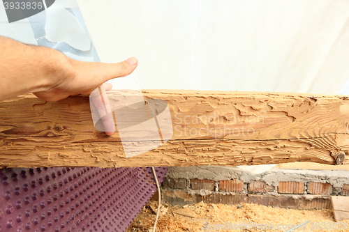 Image of wooden beam showing insect attack