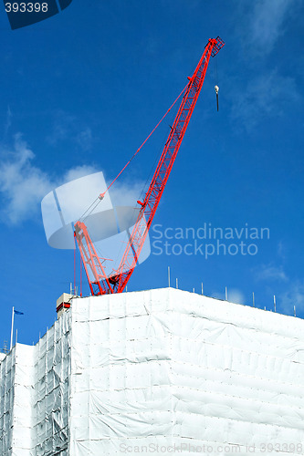 Image of Red crane