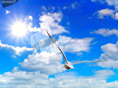 Image of 