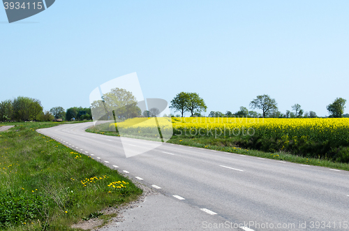 Image of Road in a spring colored landscape