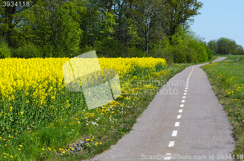 Image of Cycleway by spring