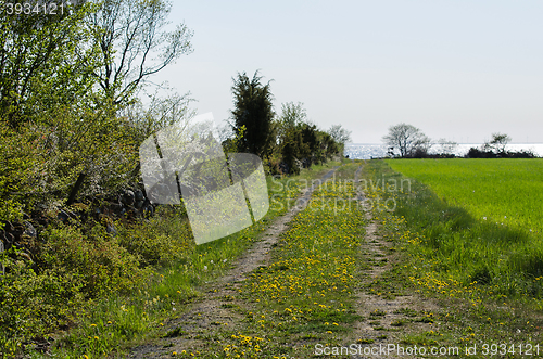 Image of Country road to the coast