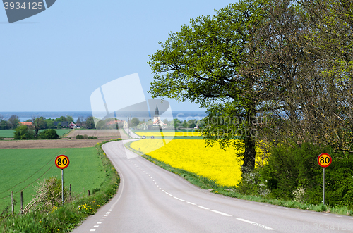 Image of Road to the village at spring