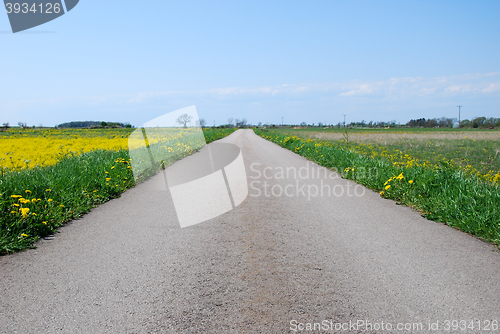 Image of Road in a rural at spring landscape