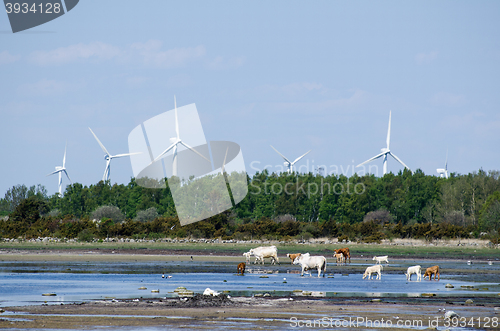 Image of Landscape with renewable resources