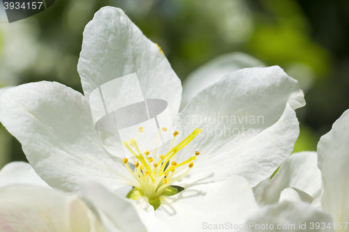 Image of 