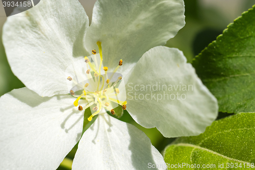 Image of 