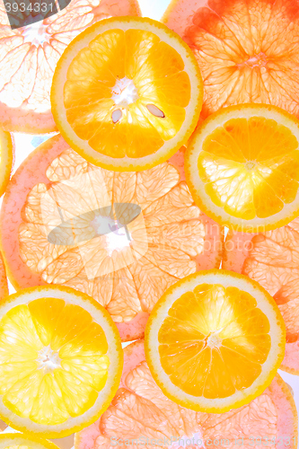 Image of Orange and grapefruit rings background