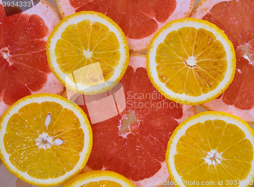 Image of Orange and grapefruit rings background