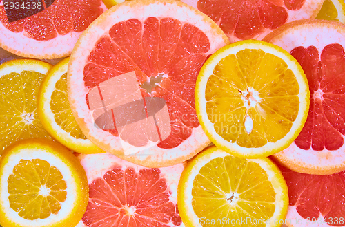 Image of Orange and grapefruit rings background