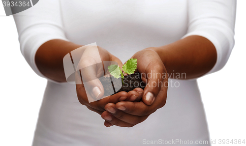 Image of african american woman hands holding plant in soil