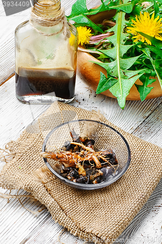 Image of Healing dandelion root