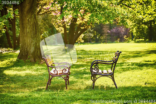 Image of Benches in the Park