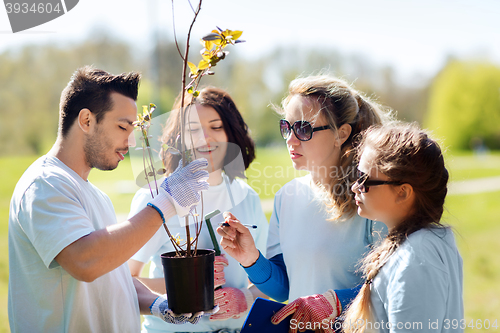 Image of group of volunteers planting trees in park