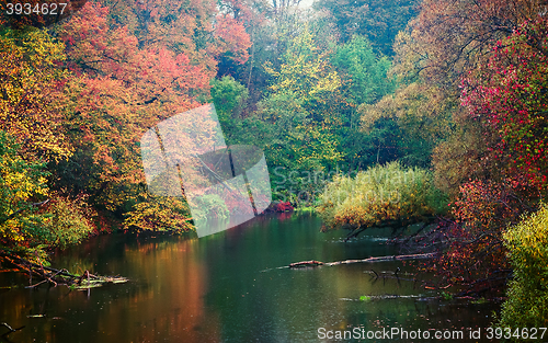 Image of Autumn pond in the rain