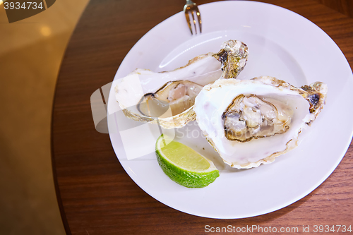 Image of Two fresh oysters platter