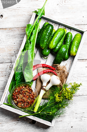 Image of Fresh pickling cucumbers