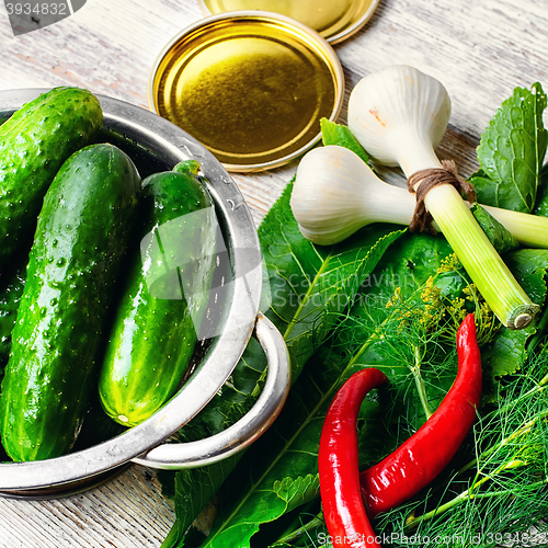 Image of Fresh pickling cucumbers