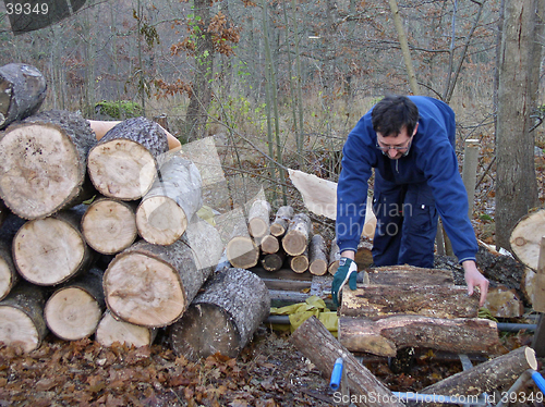 Image of Firewood